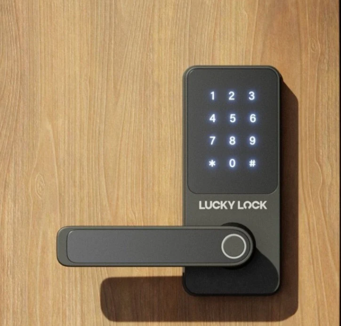 Fingerprint Smart Lock Ease L1