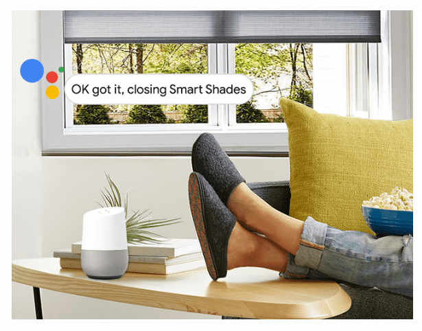 Advanced Help: How to connect Soma Connect to Google Assistant