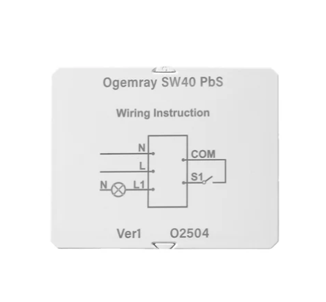 Ogemray Smart Relay 25A (Shelly)