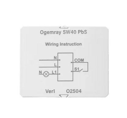 Ogemray Smart Relay 25A (Shelly)