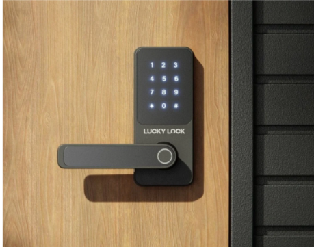 Fingerprint Smart Lock Ease L1