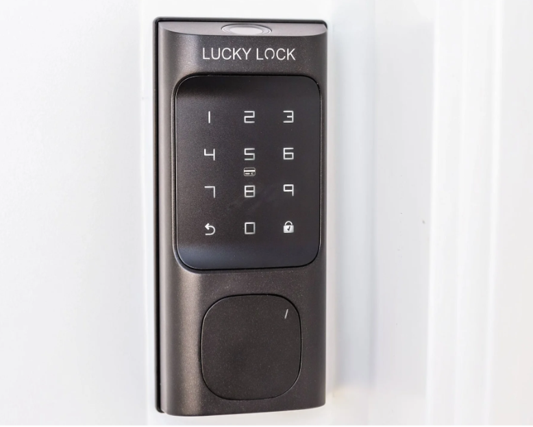 Fingerprint Smart Lock Touch D1