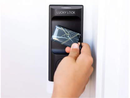 Fingerprint Smart Lock Touch D1