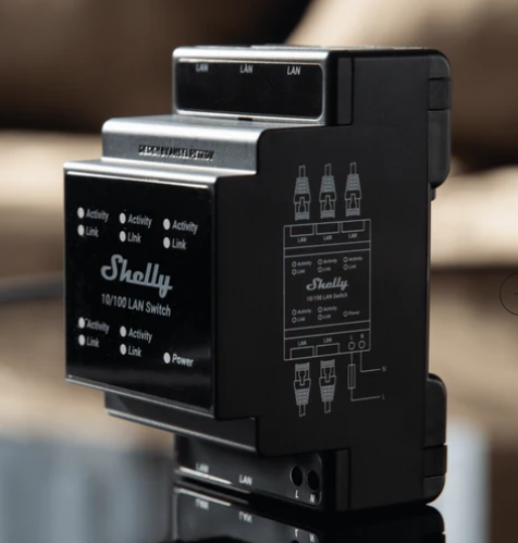 Shelly Lan Switch