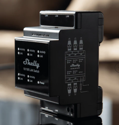 Shelly Lan Switch