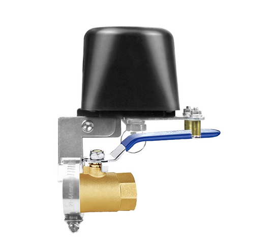 Oz Zigbee Smart Valve