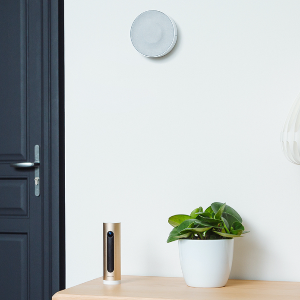 Netatmo smart indoor 2024 siren