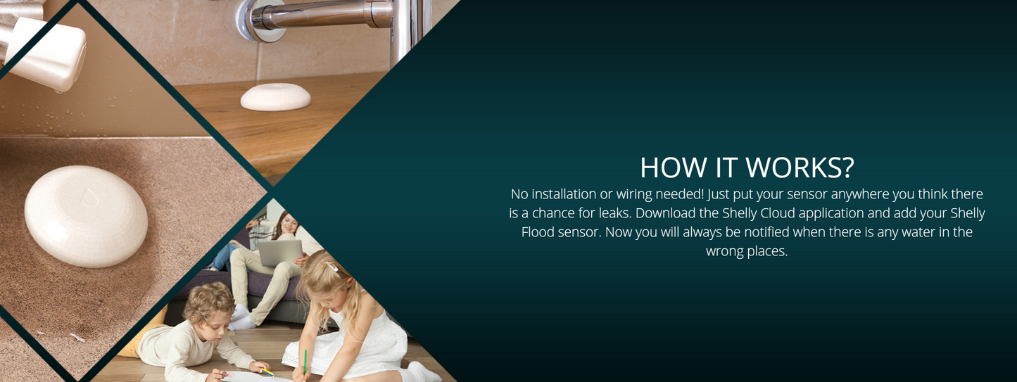 Shelly WiFi-operated Flood Sensor Smart Home Automation Google Home