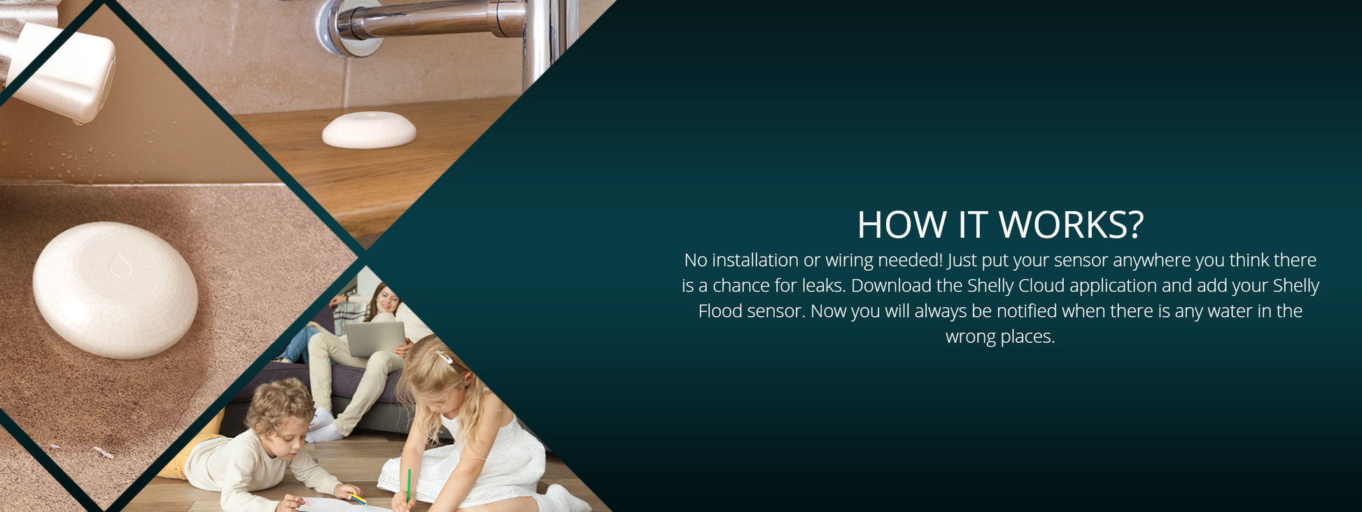 Shelly WiFi-operated Flood Sensor Smart Home Automation Google Home